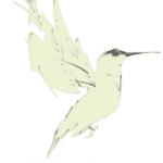 Hummingbird