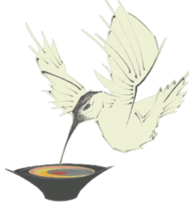 Hummingbird